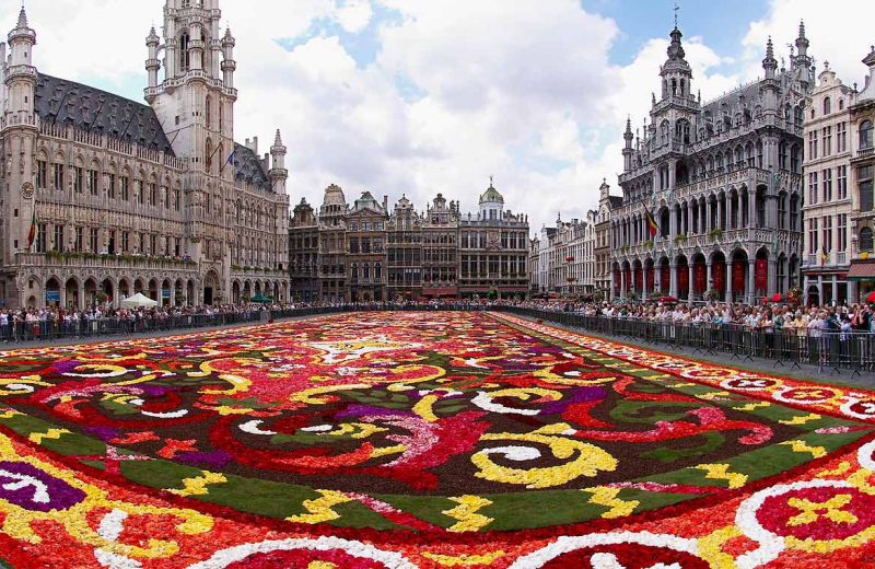 Brüksel'in dev çiçek halısı