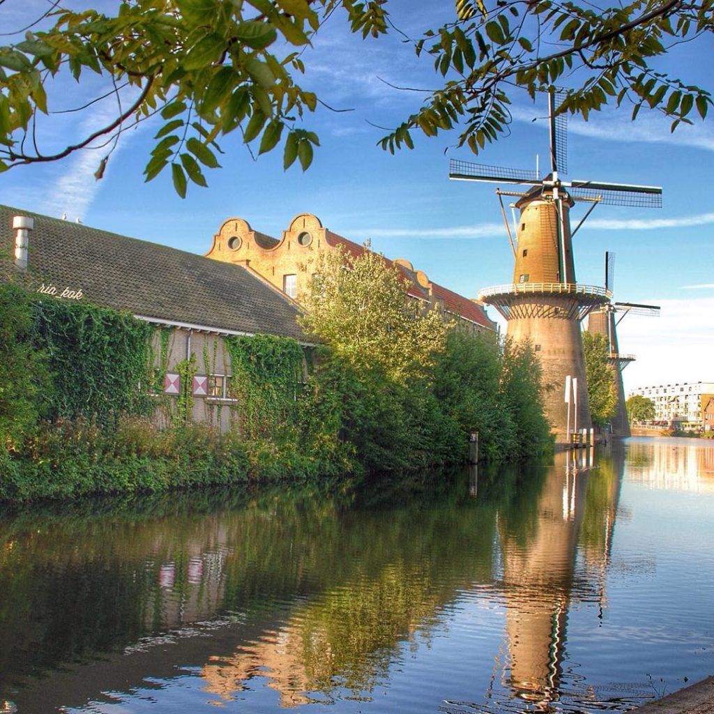 Hollanda'nın En Uzun Yel Değirmenleri